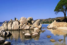 格拉夫夏普VS海牙，这场荷乙对决的比分会如何？